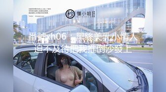 番號xh06：黑絲美乳小情人迫不及待把我推倒沙發上