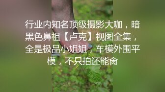 行业内知名顶级摄影大咖，暗黑色鼻祖【卢克】视图全集，全是极品小姐姐，车模外围平模，不只拍还能肏