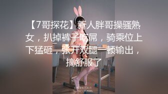 猫爪传媒 MMZ-065《搭了顺风车就强迫用身体还债》