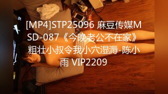 [MP4]STP25096 麻豆传媒MSD-087《今晚老公不在家》粗壮小叔令我小穴湿溽-陈小雨 VIP2209