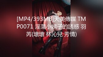 [MP4/393MB]天美傳媒 TMP0071 淫蕩小姨子的誘惑 羽芮(壞壞 林沁兒 芳情)