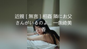 近親［無言］相姦 隣にお父さんがいるのよ… 一条綺美香