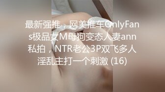 最新强推，网美推车OnlyFans极品女M母狗变态人妻ann私拍，NTR老公3P双飞多人淫乱主打一个刺激 (16)