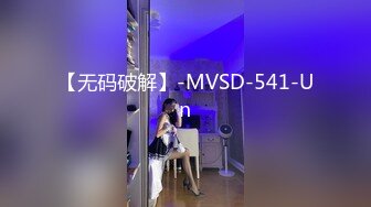 【无码破解】-MVSD-541-Un