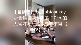 【自整理】P站Gabiconkey  小骚逼被操卷边了  20cm的大屌 不是一般人能吃下得 【NV】 (2)