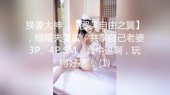 换妻大神，【罗芙自由之翼】，绿帽夫妻奴，共享自己老婆3P、4P SM，真牛逼啊，玩得好花！ (1)