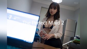 The Perfect Maid 2