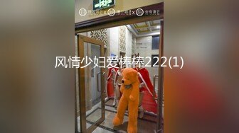 风情少妇爱棒棒222(1)