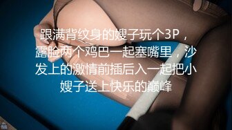 成都大奶骚母狗2