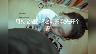 母狗老婆群P之前喜欢先开个逼