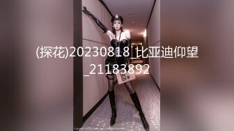 (探花)20230818_比亚迪仰望_21183892