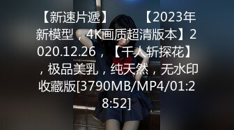 【新速片遞】⭐⭐⭐【2023年新模型，4K画质超清版本】2020.12.26，【千人斩探花】，极品美乳，纯天然，无水印收藏版[3790MB/MP4/01:28:52]