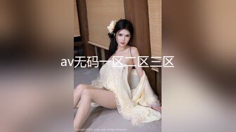 av无码一区二区三区