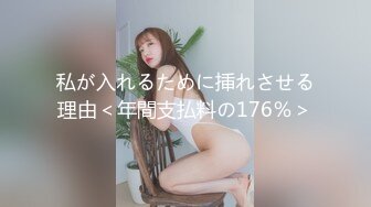 私が入れるために挿れさせる理由＜年間支払料の176％＞