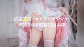 欲望之翼TheKey1983H265BD1080P意英双语中字